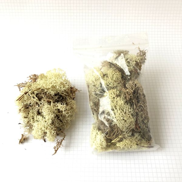 Islandmoos natur, 50g