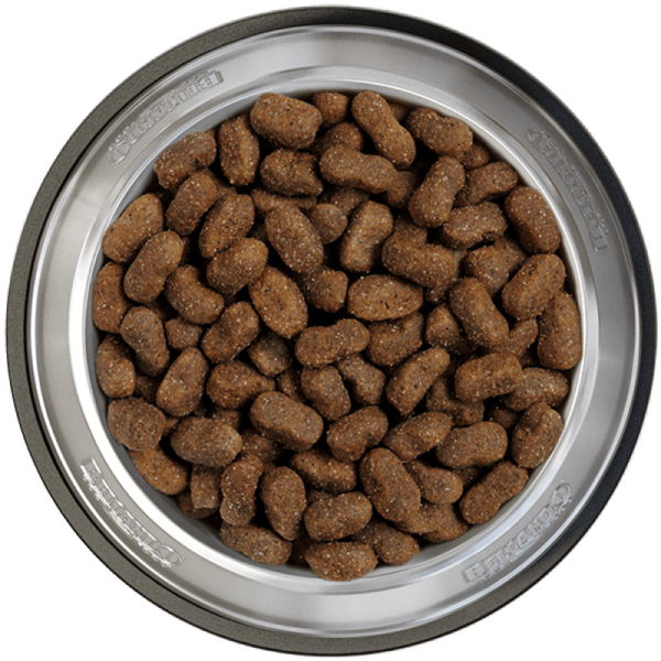BELCANDO® Trockenfutter Adult GF Beef 12,5kg für Hunde 