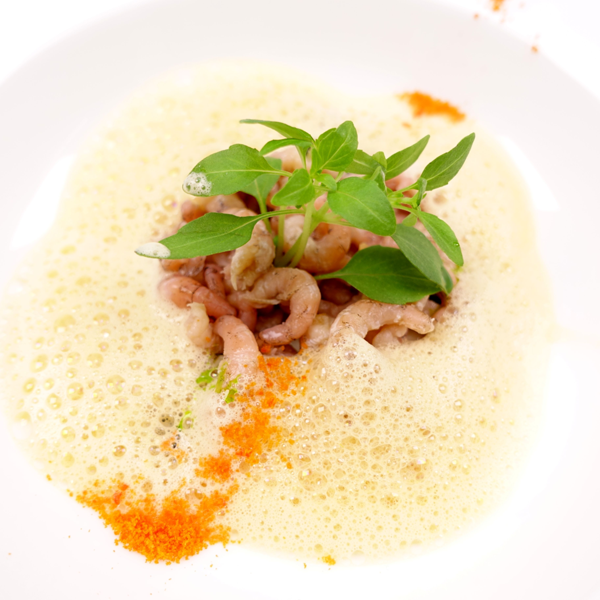 Hummer-Suppe